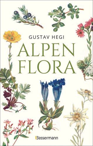 Alpenflora der erste - alpenflora,