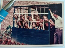 Altes originales Farbfoto, Neun Frauen hinter  " Gittern "