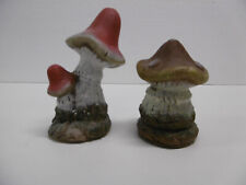 Zwei Gartenpilze Pilz Pilze