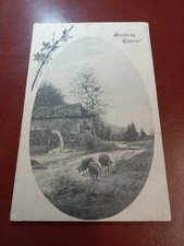 Alte AK Frohe Ostern Schafe Scheune 1906