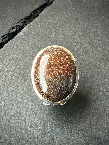 Bandring fossiler saurier - bandring,