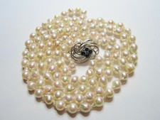 Japanische Akoya Salzwasser