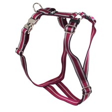 Feltmann Hundegeschirr Premium