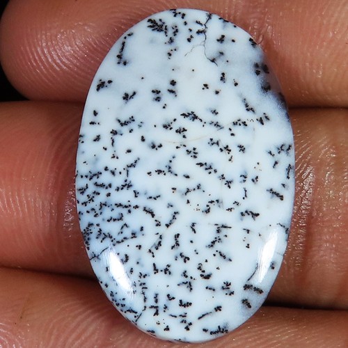Natürlich dendrite opal oval - opal,