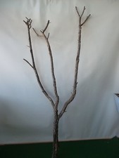 Korkast ,Vollkorkast, Dekoration, Naturkork, Nr 211