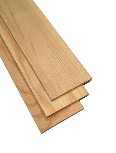 10x escheholz lamellen - 10x,
