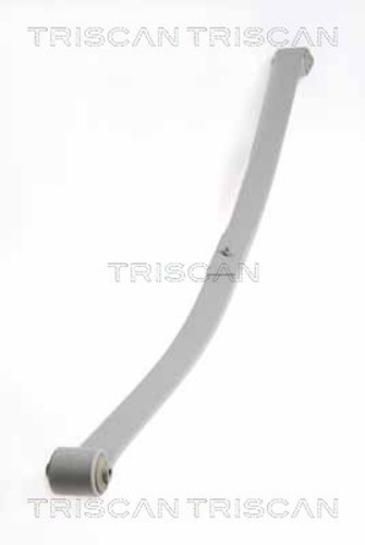 Federnpaket triscan 8765 29019 - 8765,