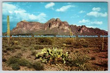 R736839 Mesa Arizona The