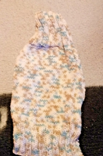 Hunde pulli - hunde,