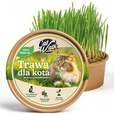 Catwalk katzengras grasswalk - catwalk,
