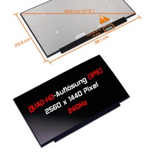 17,3" WQHD LED Ersatz Display