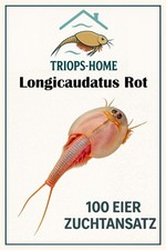 Triops Longicaudatus Rot