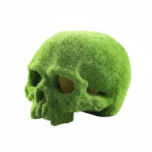 Moos totenkopf dekoration - moos,