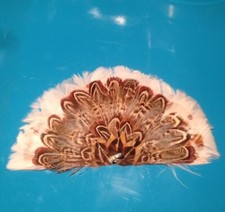 Federschmuck , Indianerschmuck ( USA) 17x 9cm für Haare/Hüte