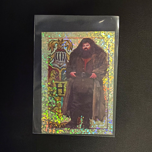 Panini harry potter hagrid - harry,