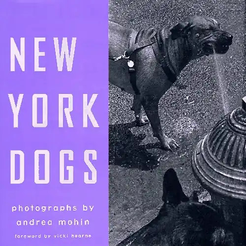 New york dogs - york,