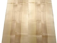 Ahorn Furnier Holzfurnier Kern