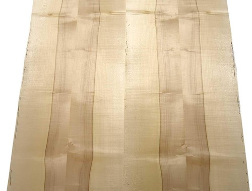 Ahorn furnier holzfurnier kern - ahorn,
