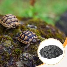 Schildkröten-Sonnenplattform