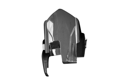 Carbon hinteres schutzblech - carbon,