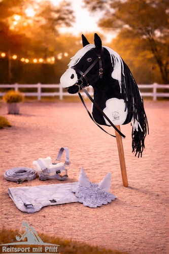 Hobby horse - hobby,