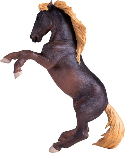 Mojo brumby stute bauernhof - stute,