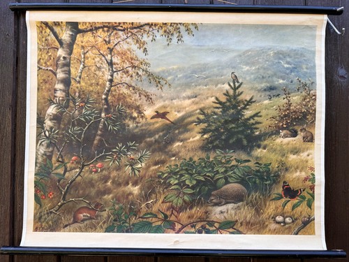 Schulwandkarte den dünen - schulwandkarte,
