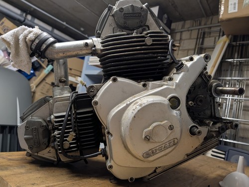 Ducati monster 600cc - ducati,
