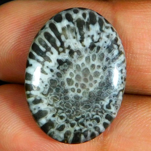 70cts natürlicher - 18,70cts.,