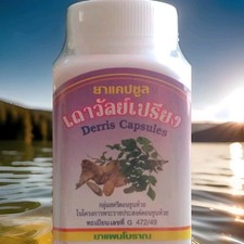 DERRIS SCANDENS Kapseln -