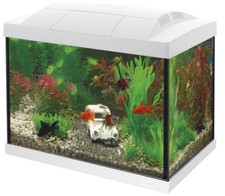 Goldfisch start set 20 - start,