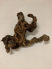 Wurzelsepp Wurzelgesicht