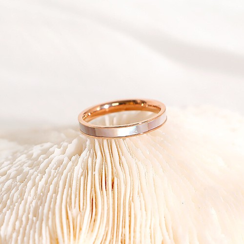 Ring aus edelstahl mit - aus,
