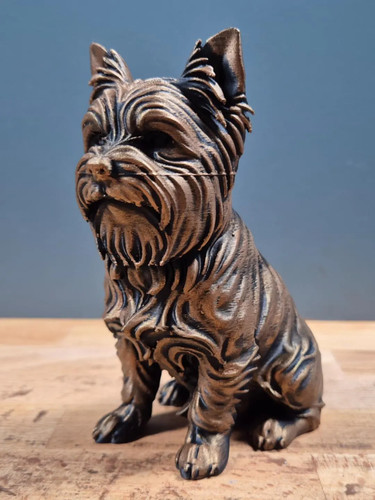 Yorkshire terrier sitzende - yorkshire,