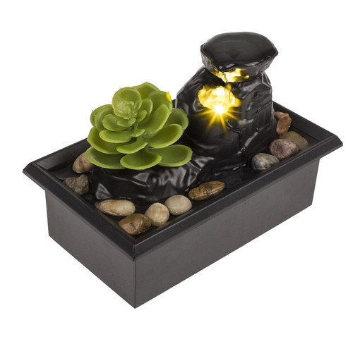 Zimmerbrunnen mit sukkulente - mit,