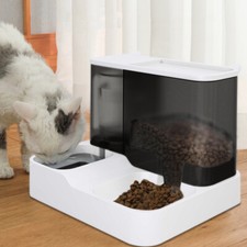 Katzen wasser und - wasser,