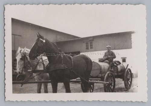 Landwirt mit pferdegespann - landwirt,