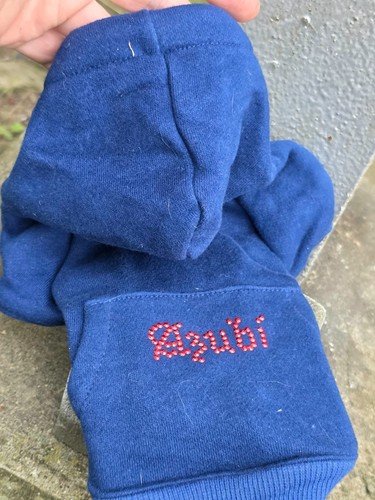 Hundepullover blau xxs 20cm - xxs,