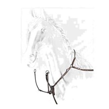 Equiline Vorderzeug mit