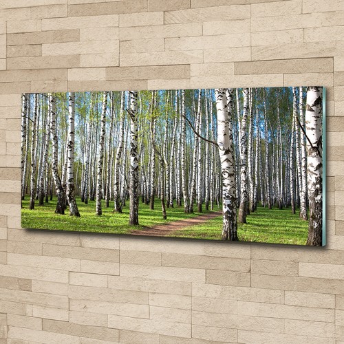 Acrylglas bild wandbilder - acrylglas-bild,