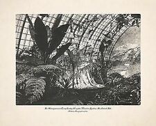 KÖNIG LUDWIG II BAYERN WINTERGARTEN MÜNCHEN RESIDENZ DAS INDISCHE ZELT 42