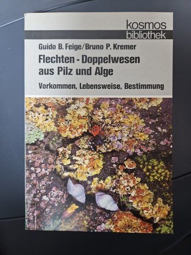 K29 flechten doppelwesen - -, aus
