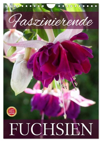 Faszinierende fuchsien - faszinierende,