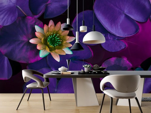 Lila lotus q2267 tapete - 3d,