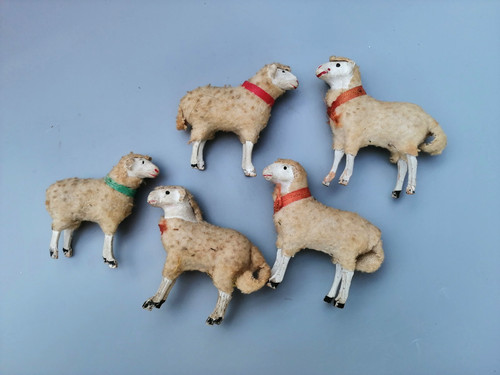 Wollschafe krippe schafe - wollschafe,