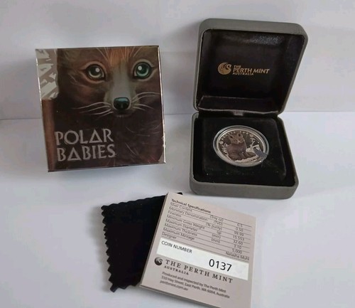 Polar babies arctic fox - polar,