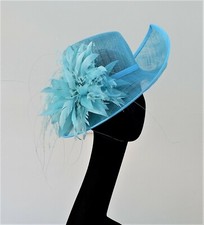 ZWEIFARBIGER EISVOGEL BLAU