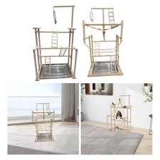 Papagei Vogel Spielplatz Holz