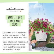 Lechuza Nido Cottage