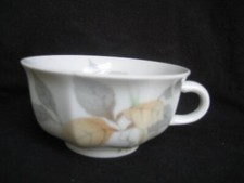 Gallo Cologne ERLENGRUND